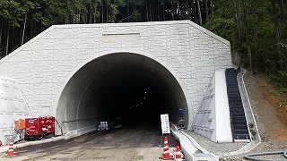 12.森のトンネル hq720.jpg?sqp=-